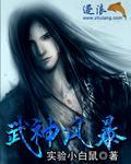 武神风暴2