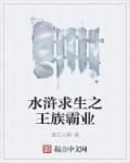 水浒之王朝霸业