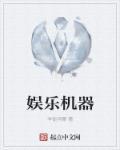 机载娱乐