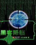 黑客 lion