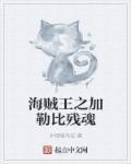 穿越加勒比海盗剑圣