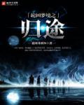 轮回梦境txt