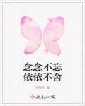 依依不舍和念念不舍区别
