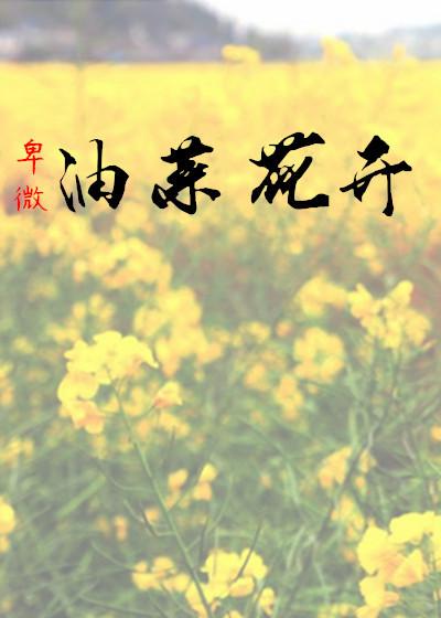 油菜花开阅读理解答案