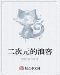 二次元的浪客百度百科