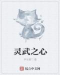 灵武行