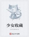 少女收藏家怎么升级