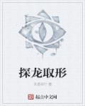 探龙什么意思