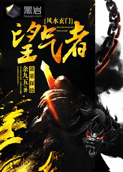 绝品风水师 将男