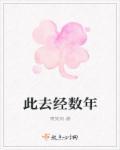 此去经年的意思