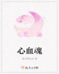 心血魂泪动漫