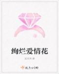 绚烂的爱