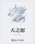 天之愿景的主题颜色