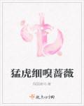 我心中有猛虎细嗅蔷薇
