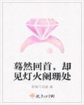 蓦然回首灯火阑珊怎么读