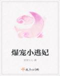 免费版爆宠小邪妃全本