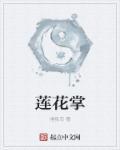 电影八卦莲花掌