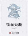 铁血是什么电视剧
