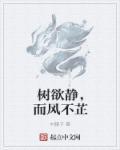 树欲静而风不止下句是什么?