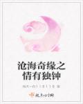 沧海情什么意思