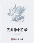 光明记忆章节