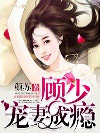 顾少宠妻成瘾全文阅读免费
