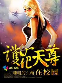 护花天师在校园 天才小小生