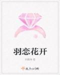 羽什么意思