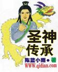 圣光传承
