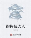 指挥使大人镇抚使大人