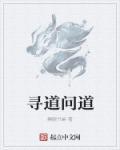 寻道问道克制纯爆