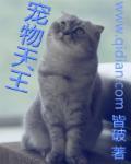 宠物天王所有角色介绍