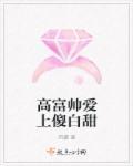 傻白甜爱上高富帅的电视剧