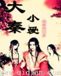 大秦小传