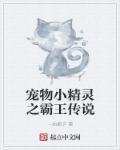 宠物小精灵霸主气场