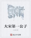 大宋第一相公