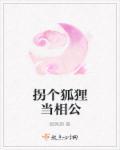 拐个相公好过年