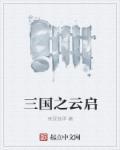三国之国运系统笔趣阁