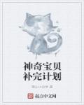 口袋b计划神奇宝贝