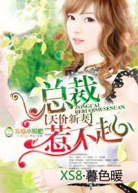 天价宠儿总裁新妻简介