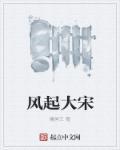 大宋风华