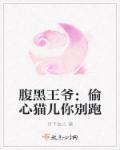 腹黑王爷盗墓妃无弹窗免费阅读