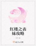 红楼之表妹攻略男主结局