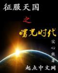 征服天国之曙光时代精校版