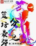 篮坛最强分卫在线阅读