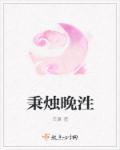 秉烛未晚的意思