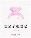 贵公子免费阅读