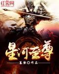 星河至尊雅琪