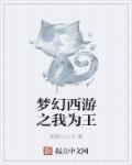 梦幻王