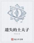 遗失的土夫子在线阅读